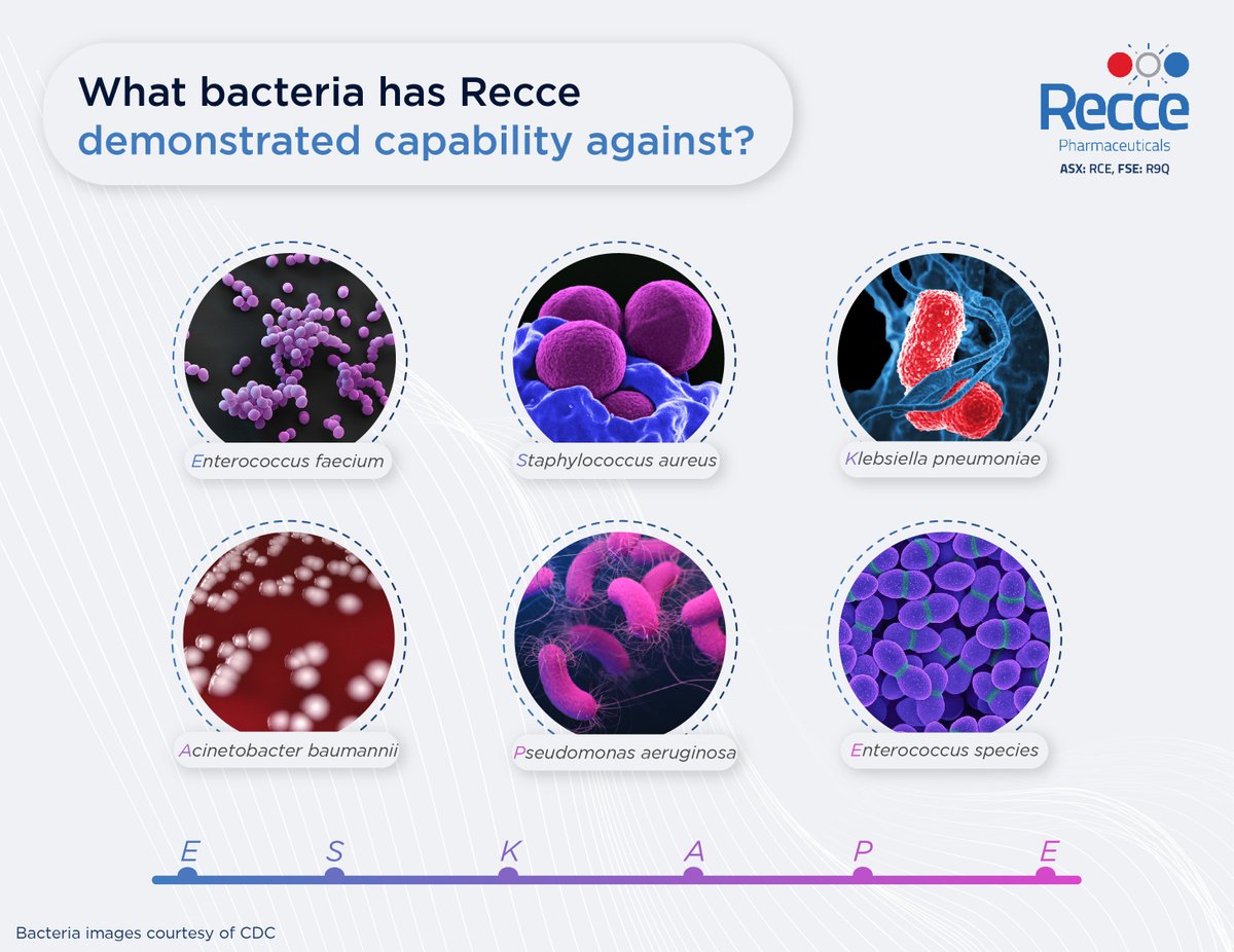 RECCE® 327 is one of the first new classes of #antibiotics in over 30 years with a universal mechanism of action that allows its compounds to continuously kill bacteria and multi-drug resistant #superbugs. Learn more at: recce.com.au/product-candid…