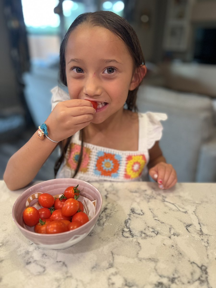mrsfeldt5's tweet photo. It’s not summer until you eat garden fresh tomatoes! These beauties were harvested from our First Wernli Wildcat Garden! Thank you, @MrsKNeill and Mr. Brown for growing delicious veggies and future gardeners at Wernli! @lorimshaw #WhataWildcat #RootEdWernli https://t.co/xSq5fCgN4h