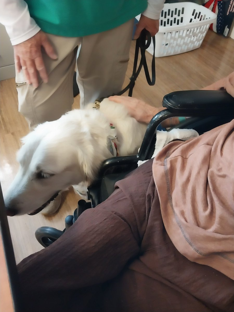 LCCK9Naomi's tweet photo. I had many wonderful visits with patients at Beech Grove Meadows and Rosegate today.
I brightened their days! ❤️ https://t.co/tzyST1k1am