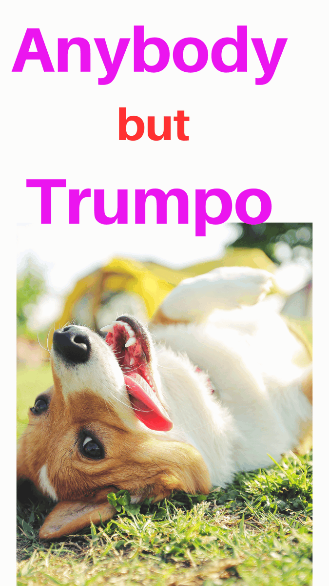 IdentityspyMike's tweet photo. Don't waste your precious vote on this guy! Never Trump!!! https://t.co/Xihb5Hlkjd