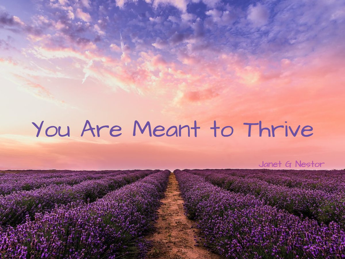 You are meant to thrive!
#IAMChoosingLove
#LightUpTheLove #LUTL
#Minfulness
#TuesdayWisdom
#MindfulLiving
#RadicalSelfCare
#