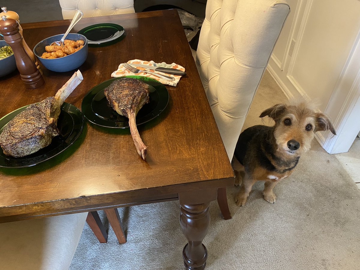 KingGrispy's tweet photo. Always first to the table… https://t.co/tzAmlvRZ3Y