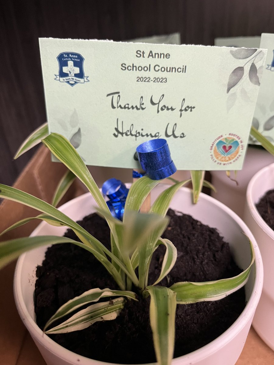 StAnneOCSB's tweet photo. Thank you to our incredible @stannecouncil for ALL you do  and Thank you for helping us grow 🦁🙏🏼💗🌿@OttCatholicSB @OttawaCSPA #ocsbBeCommunity https://t.co/KweHQfV6Yy