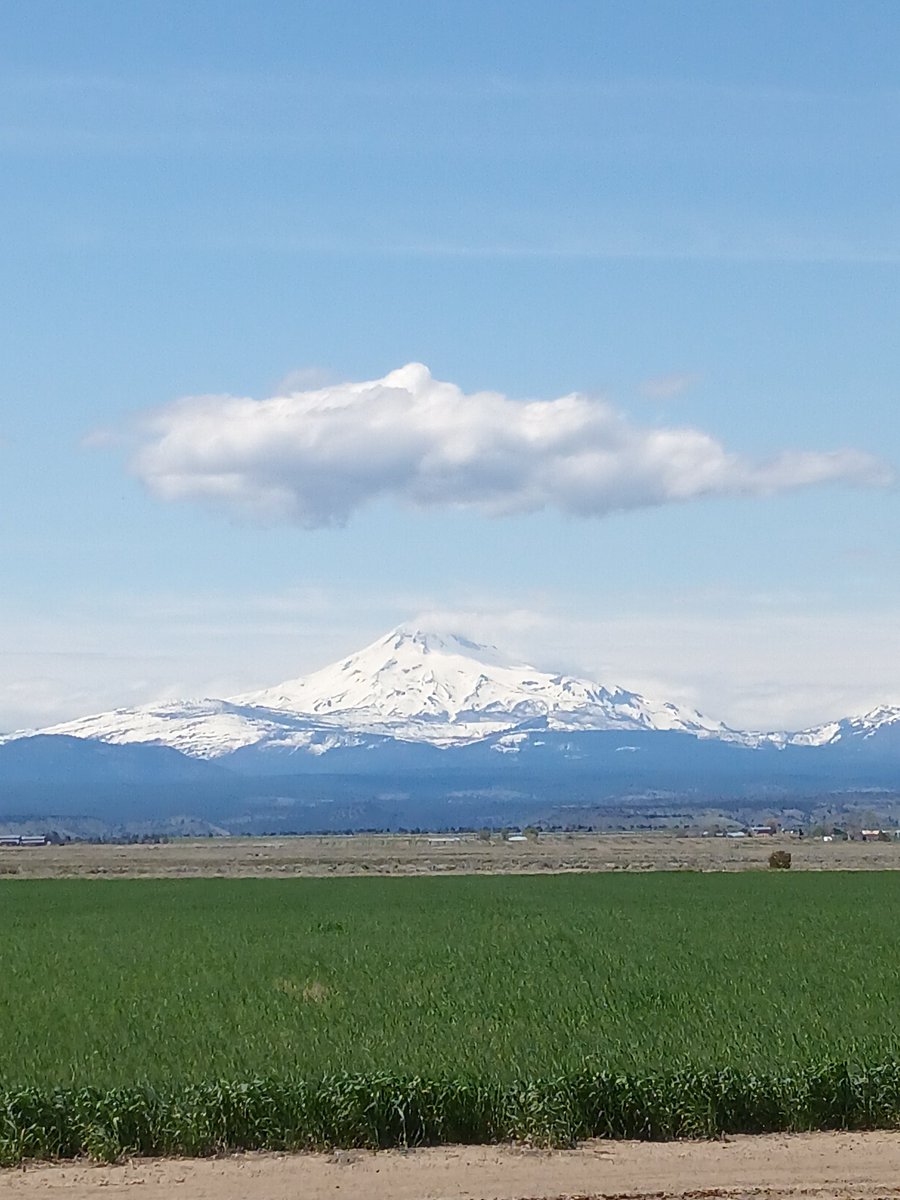 TheBoobla31's tweet photo. @MtJeffersonOR this is you during my April road trip.  So majestic. https://t.co/YgRPrZIMxk