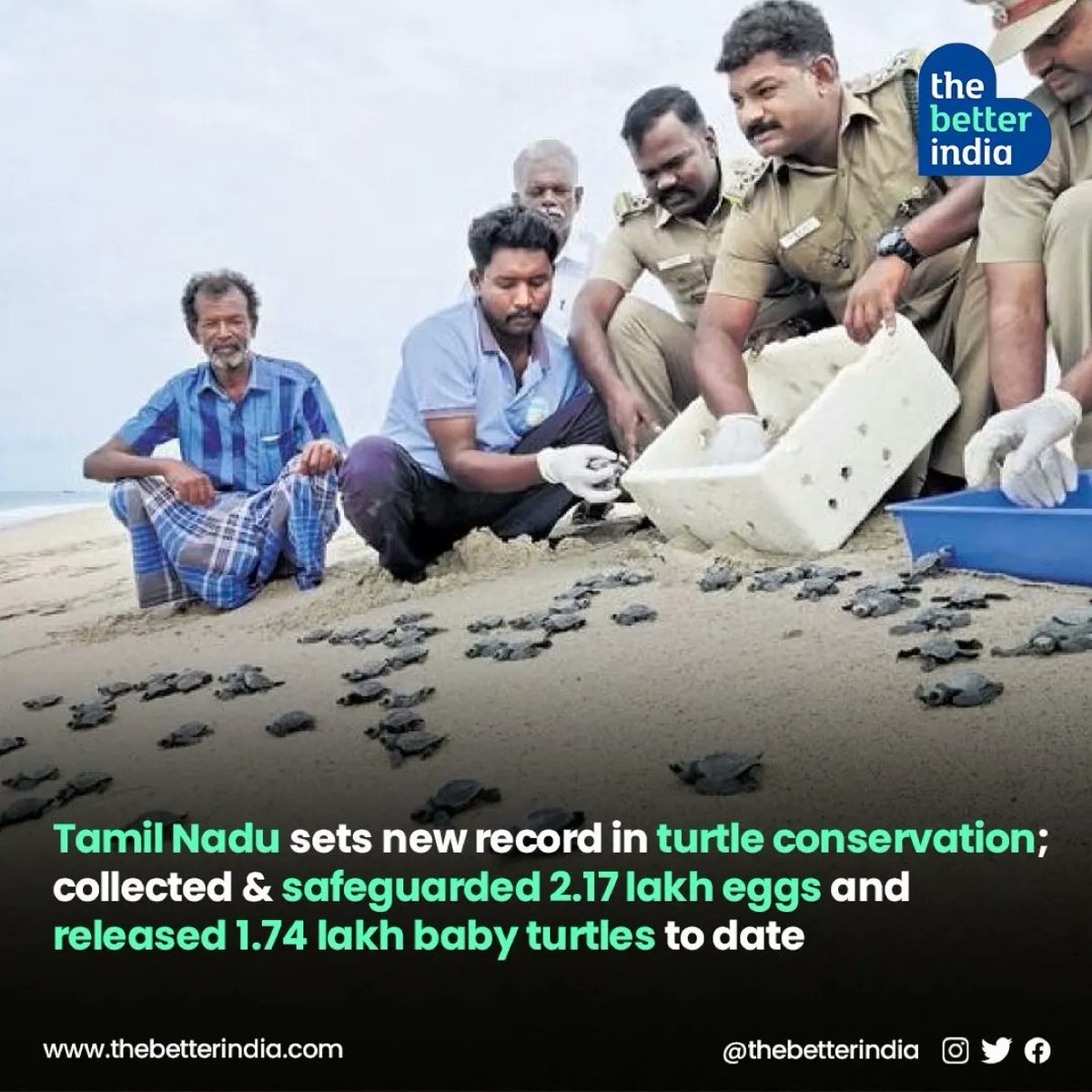 Bravo Tamil Nadu!
Tamil Nadu 🇮🇳 sets a new record in OliveRidley turtle conservation as the state forest department collected and safeguarded 2.17 lakh eggs and released 1.74 lakh baby turtles, the highest to date.