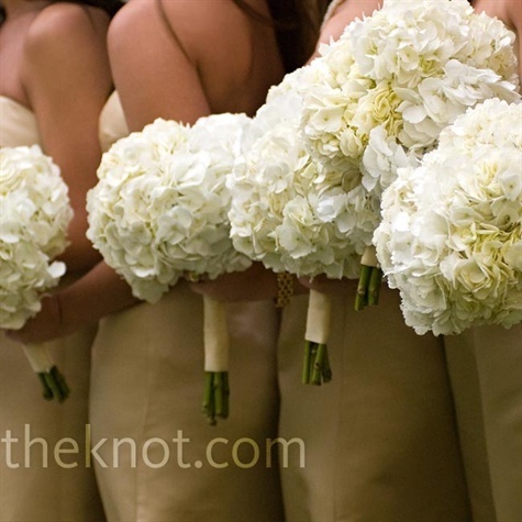 Hydrangea are a great choice for making bouquets quickly and easily.  #MKEFlowerMarket