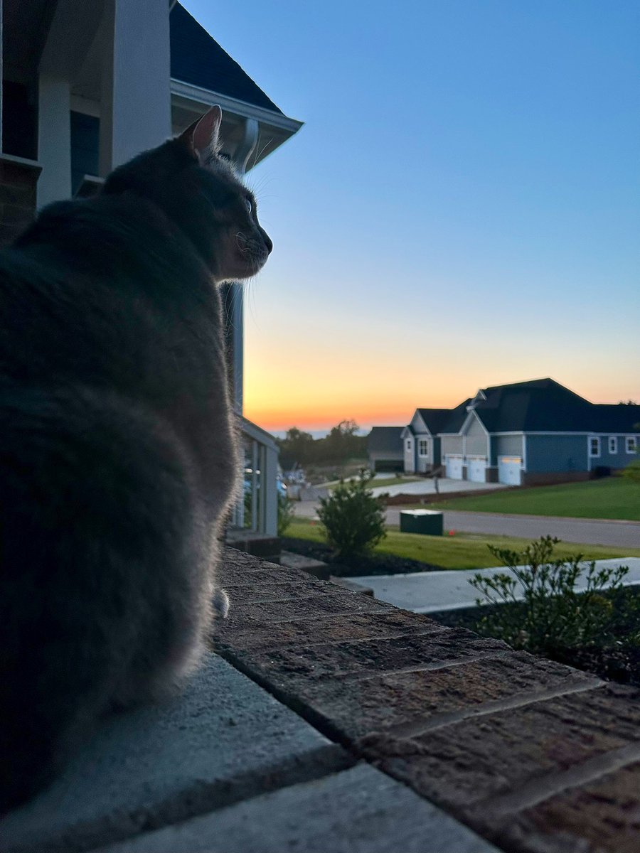 MrRoscoeMan1's tweet photo. Watching the sun set…🧡❤️💜😺 https://t.co/z3QkaztFyM