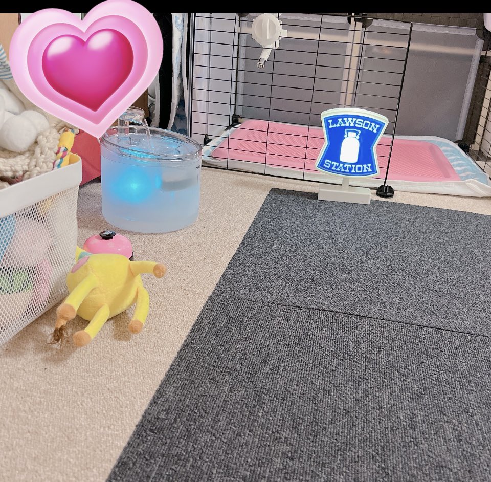 omi_o313's tweet photo. らぶちゃん🐶🐾🍀💕

ローソンの看板そのまんまルームライトをらぶちゃんのトイレの前に置いてみた🤭🤭🥰 https://t.co/hFDM2HVHyC