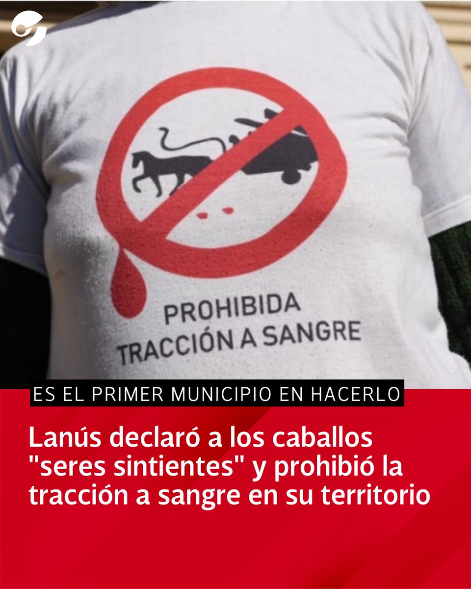 Lanús declaró a los caballos "seres sintientes" y prohibió la tracción a sangre en su territorio

📲 Más información en clar.in/3Cw1DxW