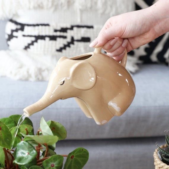 elephant watering-can 🎀