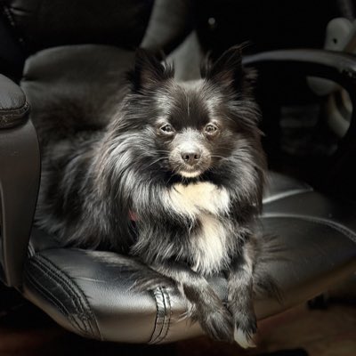 #NewProfilePic