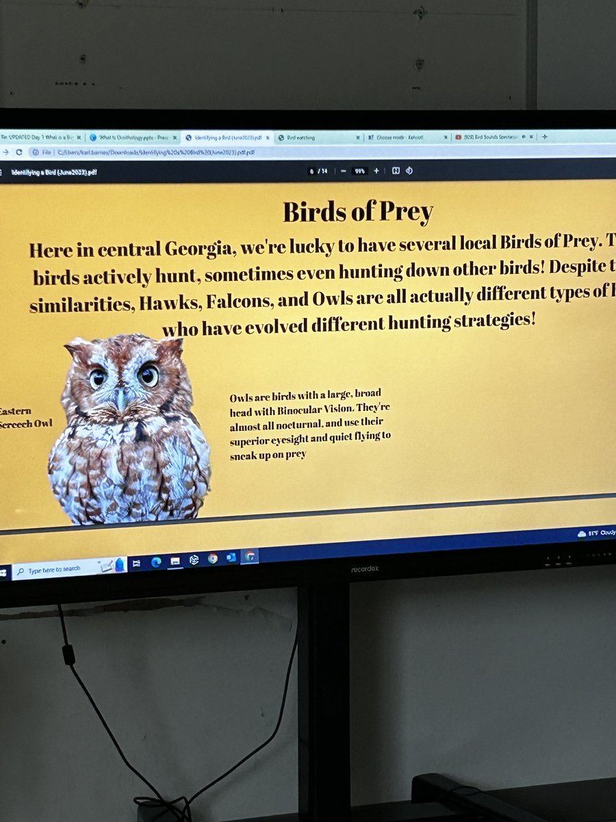 Media_KindeziW's tweet photo. Our partners @Morehouse Ornithology program is working with the @KindeziSchool 2nd grade geniuses. They are 🦅 watching and learning about their importance to our ecosystem. @KindeziED @KindeziENRICH @Ms_Musgrove #summerexperience https://t.co/S1l4KWo6hs