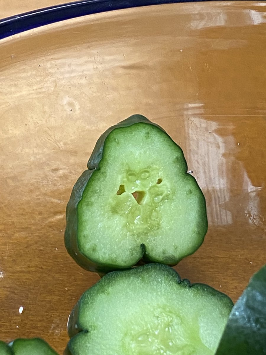 おはよっ(´∀`)
ぬか漬けきゅうりだよ🥒