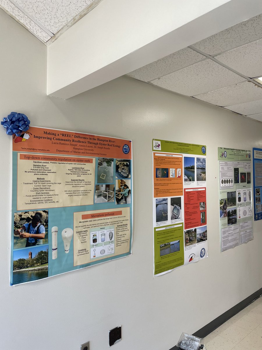 amira_layeni's tweet photo. If you missed @lucia_ramirezj4 and I’s poster at @aslo_org 2023, come by MES front hallway at @_HamptonU! You can also see our award winning poster from the School of Science symposium! https://t.co/FQibf36pVX