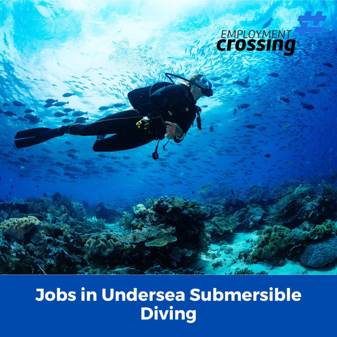 Ever wondered what it's like to work beneath the waves? Immerse yourself in our article on undersea submersible diving and glimpse the thrilling life of deep-sea professionals! employmentcrossing.com/article/900049…

#Diving #Undersea #Diver #OceanJobs