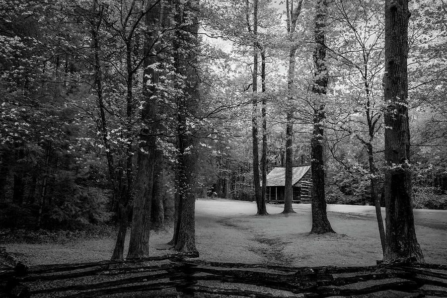 Art for the Eyes! buff.ly/3wBaOJk #smokymountains #cadescove #cabin #photography #fineart #artlovers #naturelovers #artworks #art