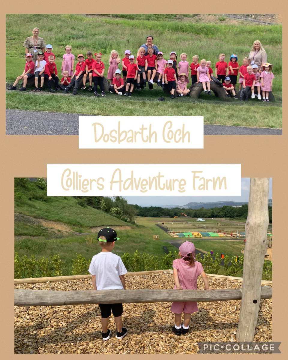 We had a brilliant day at Colliers Adventure Farm.👩🏽‍🤝‍👨🏼🐖🐏🦙