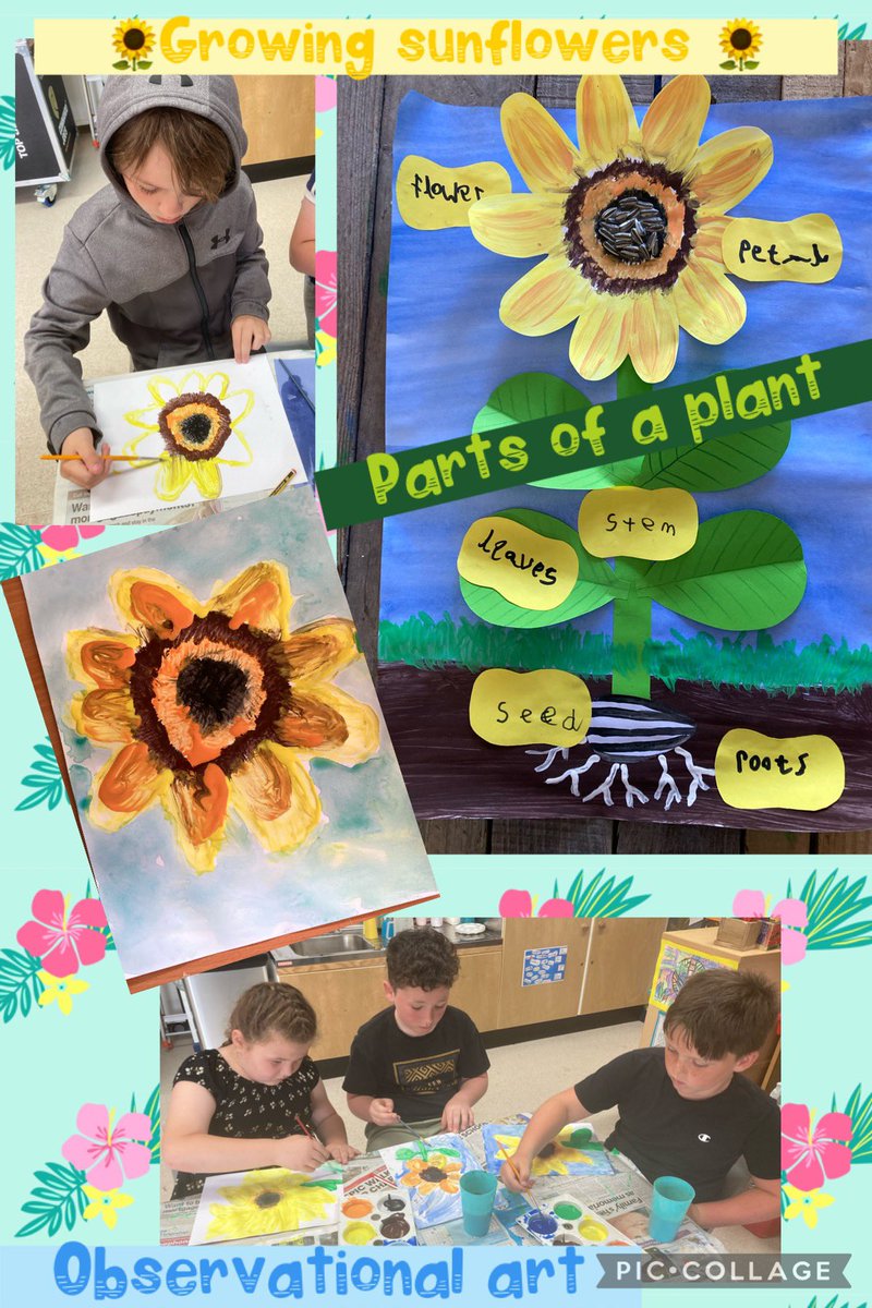 pdcsalternative's tweet photo. Our @YR5PDCS and @PDCSYr3and4 groups have been busy planting and painting Sunflowers 🌻 They have also been learning about the different parts of a plant. #creative #observation #gardening https://t.co/MF3Aqw68f6