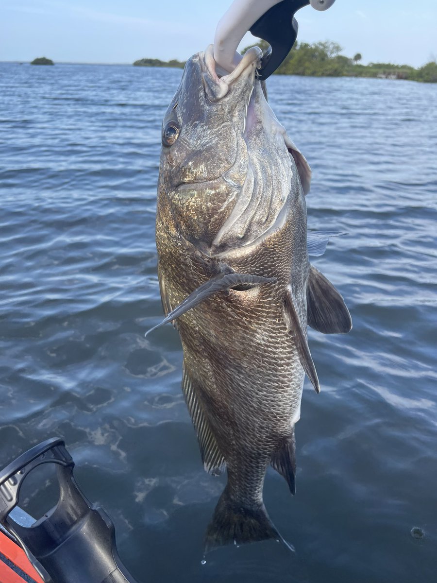 fdyoung02's tweet image. So this is what kayak fishing 🎣 is like!