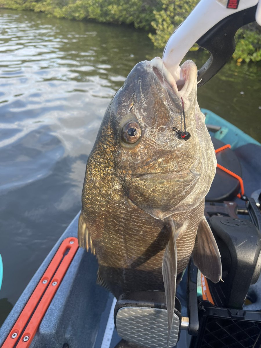 fdyoung02's tweet image. So this is what kayak fishing 🎣 is like!