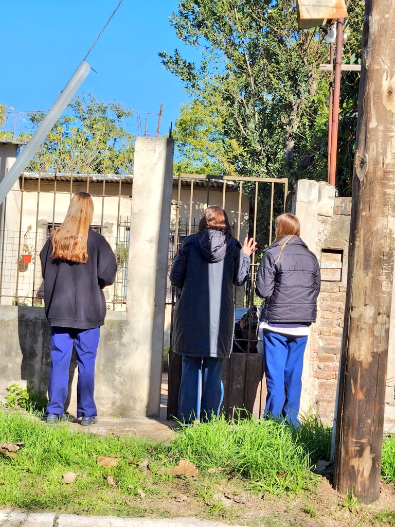 ceci bordon tweet media