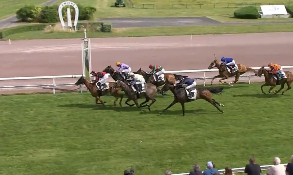 lefebvrefabien1's tweet photo. 🌟Monday🌟 at @HippodromedAmie🇫🇷
Promising 5th place with #OnlyHim🐎 - Écurie Adélaïde BUDKA
My Little Truck - You Dada, We care https://t.co/mm5znrkQAY