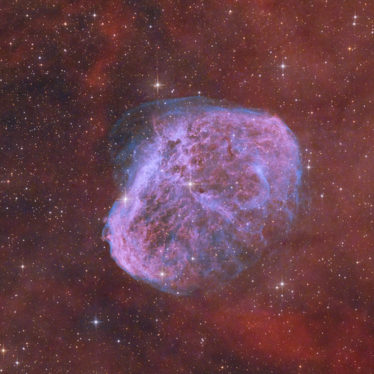 NetSmilingj's tweet photo. NGC 6888: The Crescent Nebula

The Crescent Nebula, which to me looks more like a giant space brain than a crescent.

Blog: https://t.co/nrl5w443dl

#astrophotography #ngc6888 #crescentnebula #heq5pro #130pds #asi294mcpro https://t.co/X6DxSOHLh2