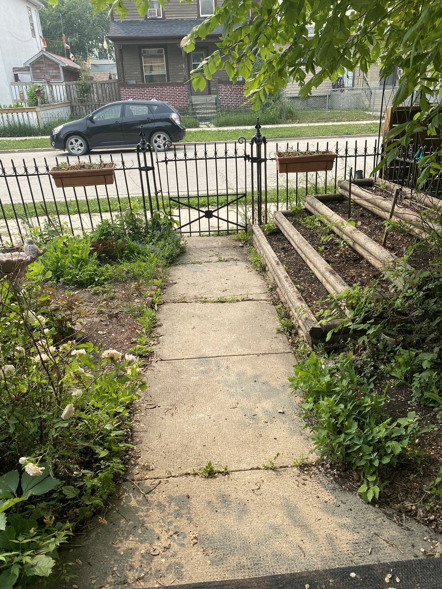 JstAnotherStory's tweet photo. Hey @canadapostcorp I’m failing to understand what’s unsafe about my path and why my mail cannot be delivered… https://t.co/v314ycr4DD