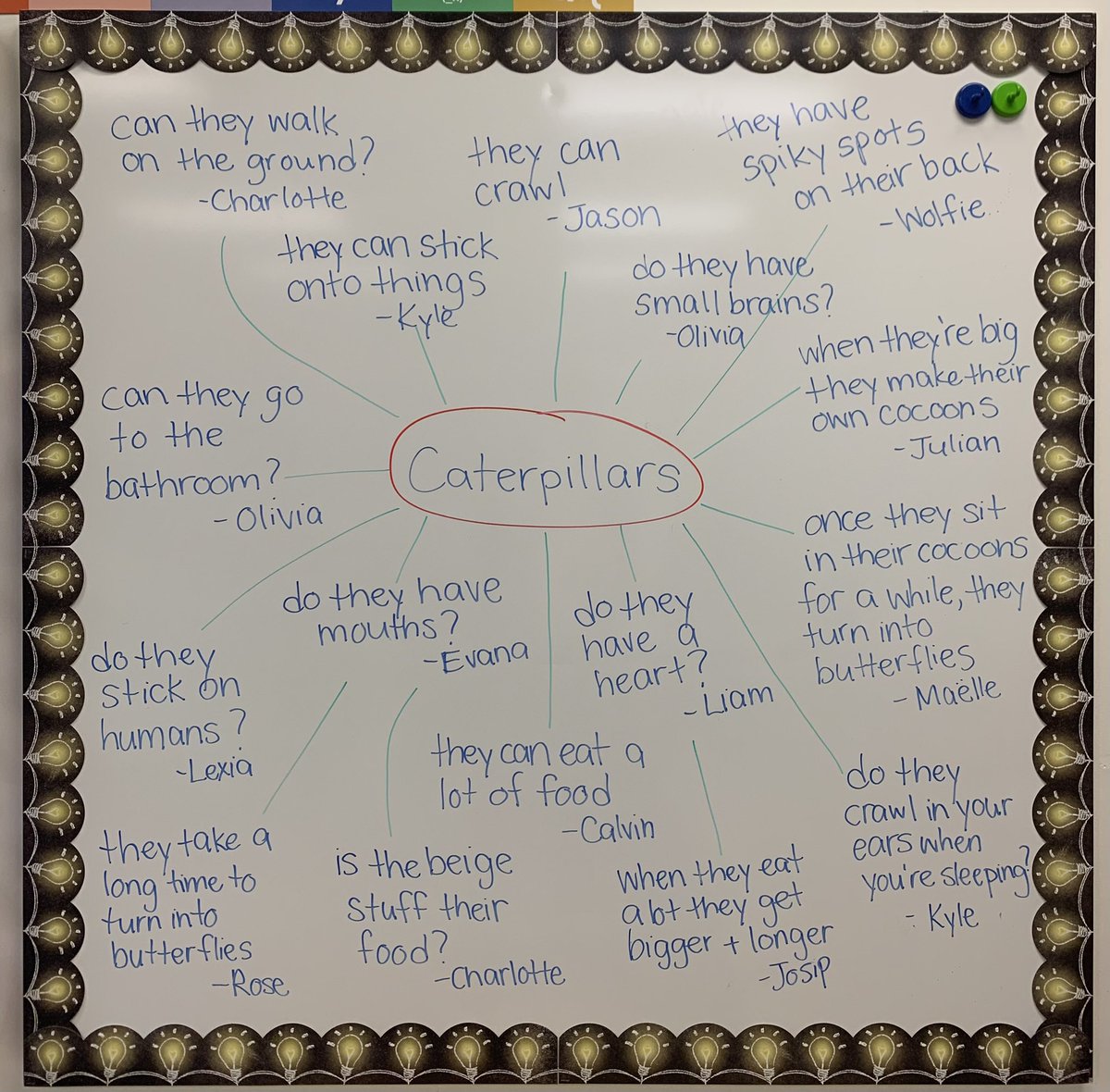 Miss_A_Young's tweet photo. Throughout the spring, we were entomologists and learned all about our caterpillar friends! 🔎🐛 #ocsbEco https://t.co/Pe8KE68xaJ