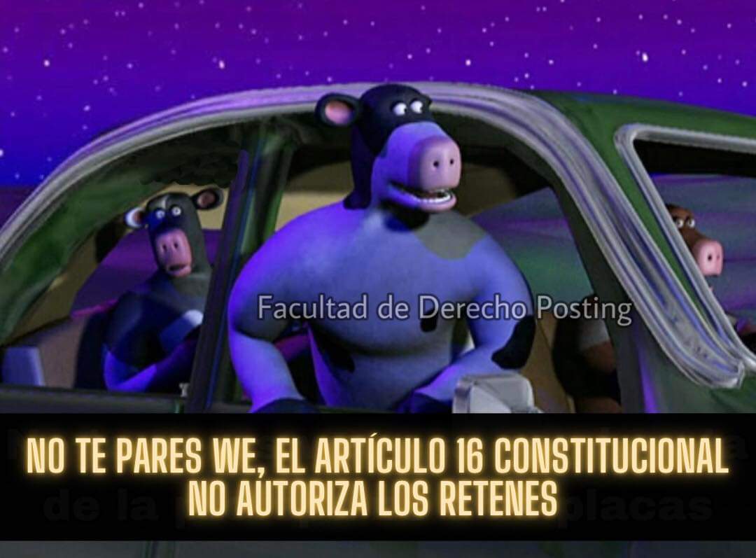 Maestro Pokémon tweet media