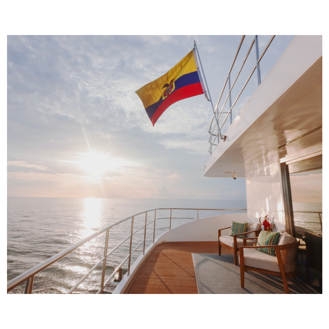 kontikiX's tweet photo. Overlooking the horizon, ready to enjoy a beautiful sunset at sea! #AboveSeaLevel #SLH https://t.co/atDMfmHrUf