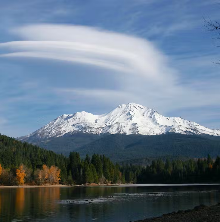PlanetBids's tweet photo. Give us a few minutes and we'll explain how the Cloud is the best tool for keeping your #procurement processes afloat. Hint: #Automation is key! Read here https://t.co/7aOnGDD4sn https://t.co/vRtV9Wqokx