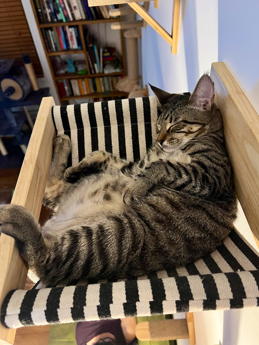 Dave Krantz tweet media