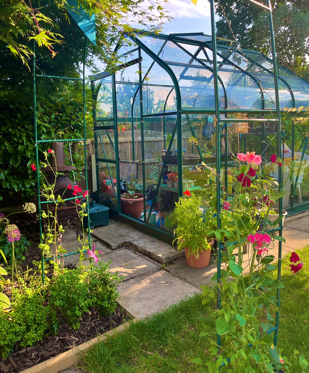 144wherethings1's tweet photo. Hello summer 💐
Everything starting to bloom https://t.co/exsAUmU2Xn