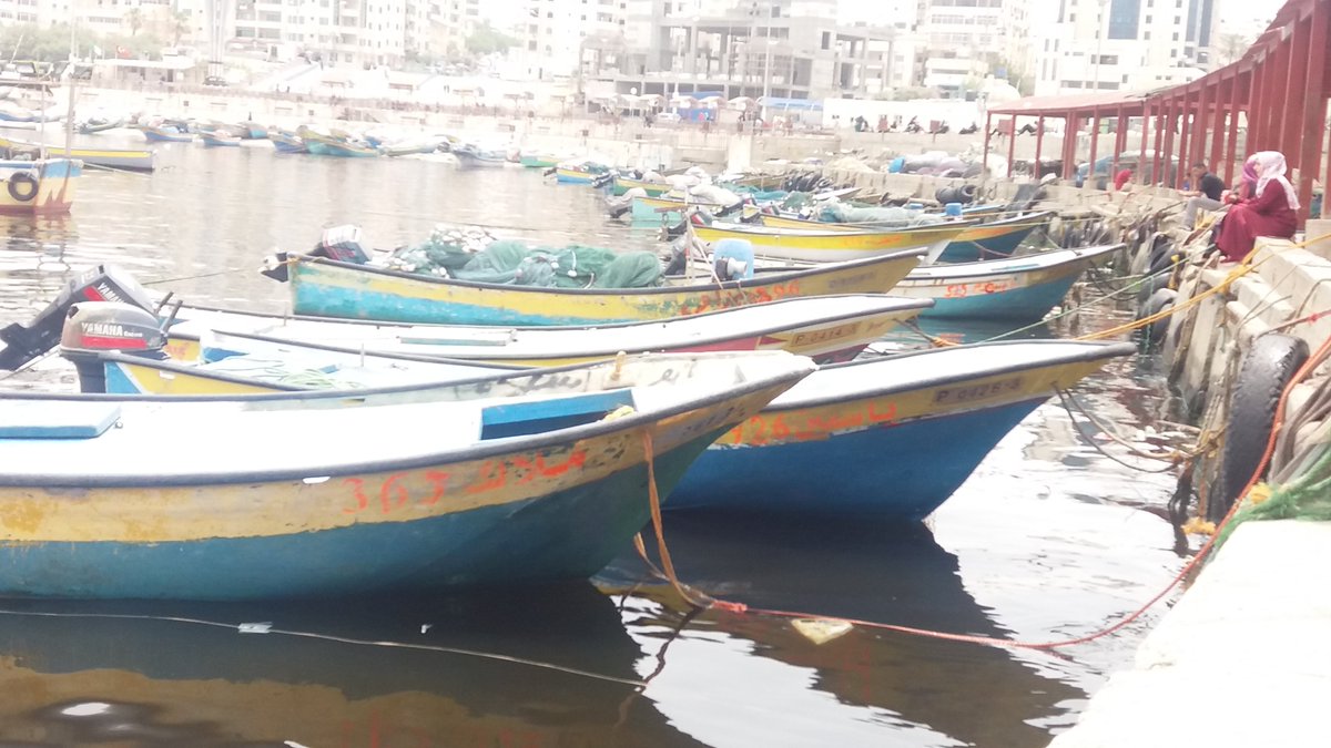NabilWael975's tweet photo. في غزة أصحاب المراكب بيسموا مراكبهم بأسماء مؤنثة، وكأنه علاقتهم فمراكبهم عزيزة كأنها واحدة من بناته.
صدفة انتبهت عواحد من المراكب لفتني اسم المركب، بتفاجئ انه كل المراكب حرفيا كل واحد اله اسم.
فأخذت بعض الصور من سنين لبعض الاسماء القريبة.
قد تكون في دول أخرى لكنها عادة جميلة🤍 https://t.co/7cal9J9Dp7