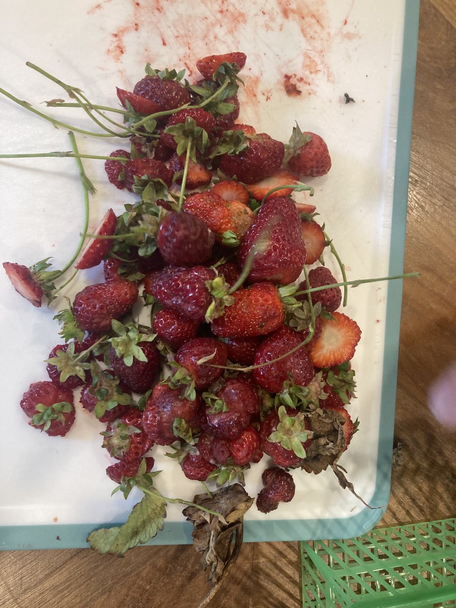 kylejason tweet media