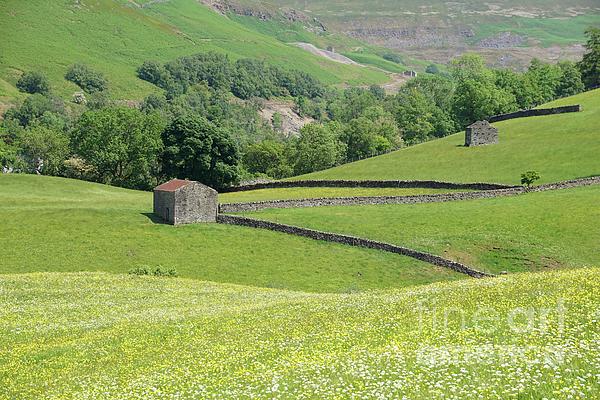 daveluc1's tweet photo. New artwork for sale! - "Swaledale barns and wildflower meadow." - https://t.co/9OU3BhSzg4 @fineartamerica https://t.co/x38GUa08nx