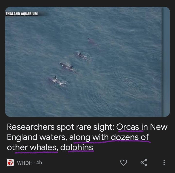 They’re ORCANIZING