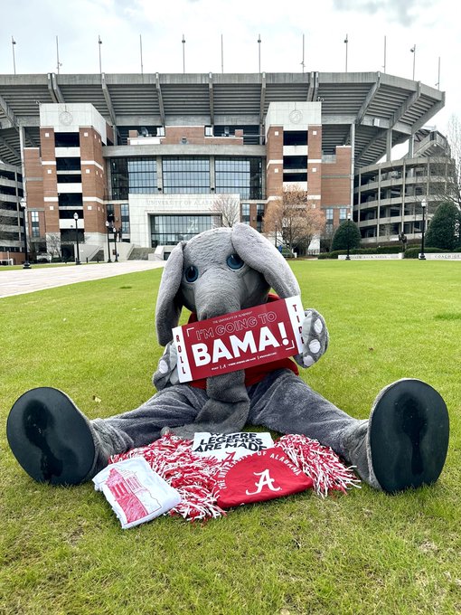 UA Parent & Family Programs tweet media