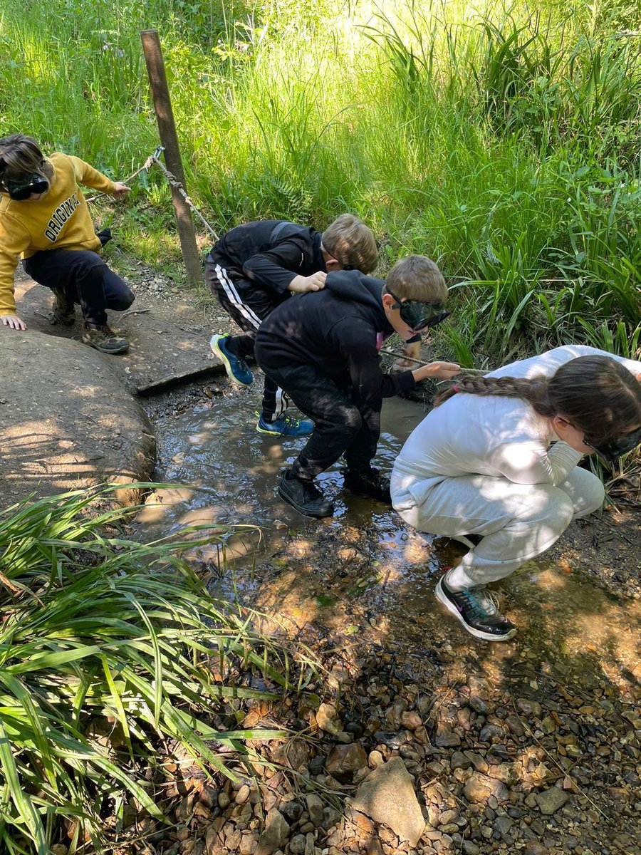 Year 6 have had a jam-packed day full of activities. We have been very busy with archery, giant swing, sensory trail and laser tag and all the children are now in bed getting a well-deserved rest.