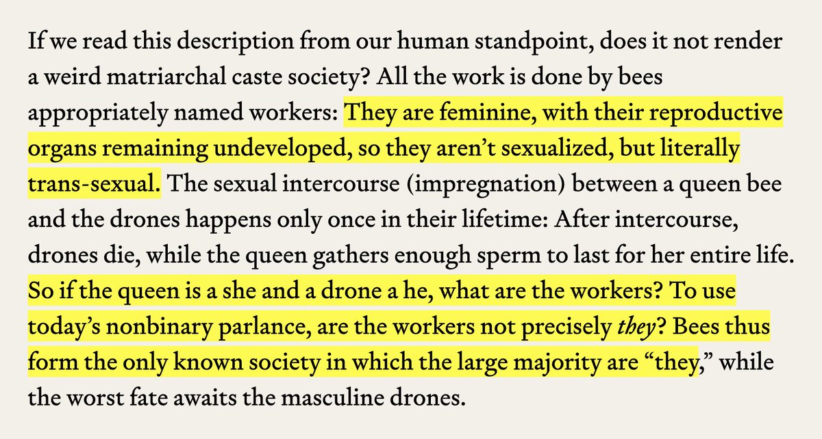 Colin Wright tweet media