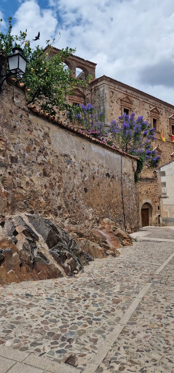 Family Travel Explore tweet media