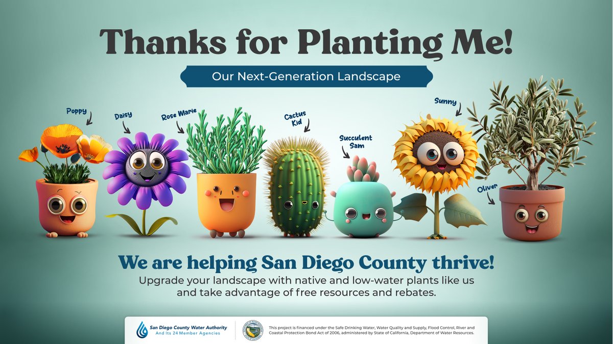 PadreDam's tweet photo. Creating a WaterSmart landscape can improve your propertyโs beauty, reduce maintenance, minimize water pollution due to runoff, and conserve water. Get started: https://t.co/xdOqgadje4ย ย
#ThanksForPlantingMe #NativePlants #LandscapeTransformation https://t.co/OKT4U9FCru