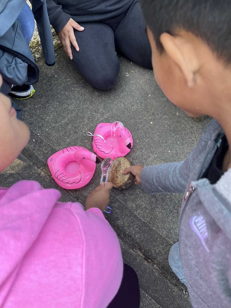 Heather Jump tweet media