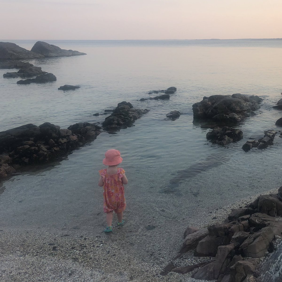 GillReads's tweet photo. Finally cool enough to go to the beach #30DaysWild https://t.co/76oAulLfob