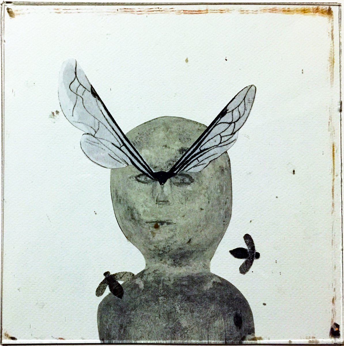 don't pluck my flybrows