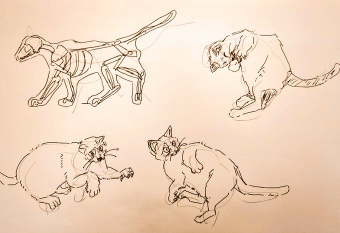 #1日1模写 Ⅲ 169/365 今日は猫ちゃんと松でした 猫は漫画家の必須課題だと思うので、 上達したいな〜