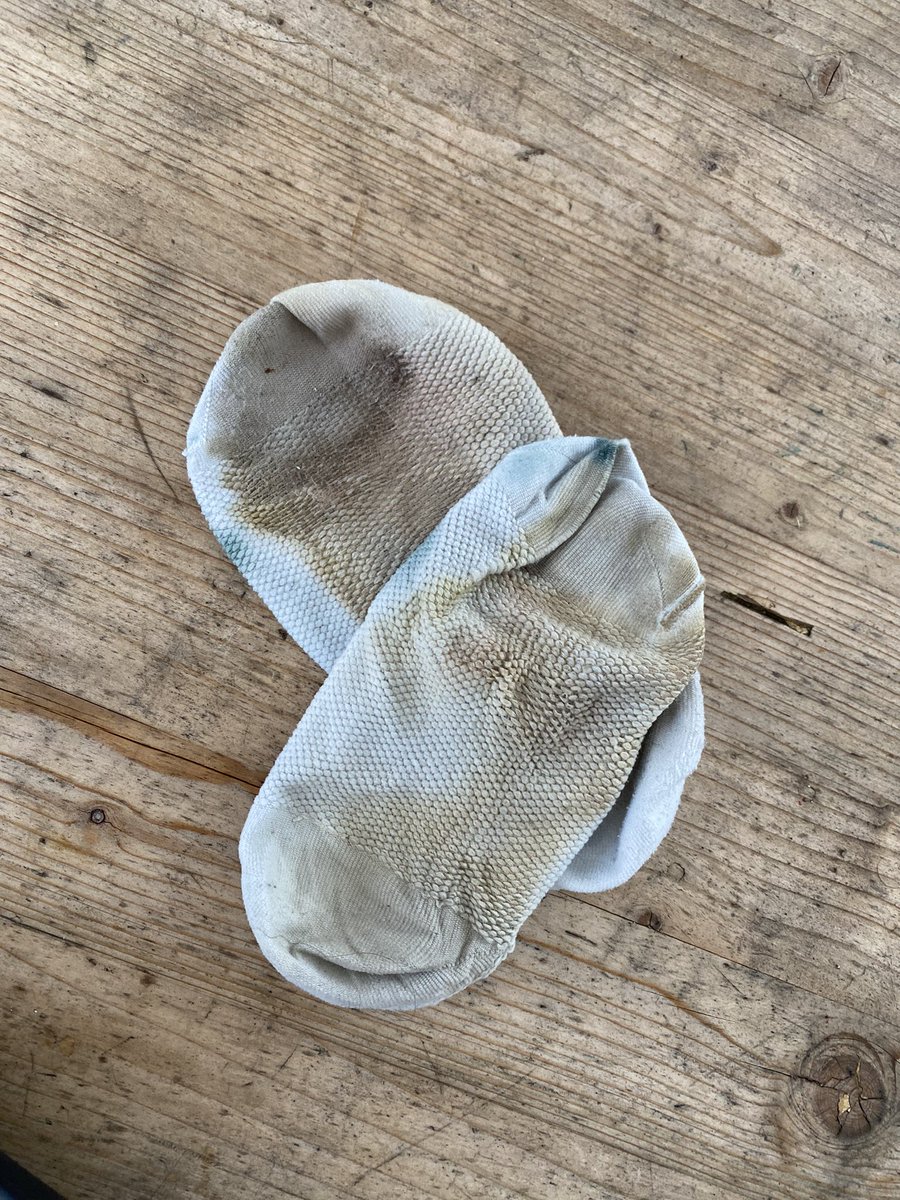 flakiefeet's tweet photo. Another sticky pair of filthy gym socks are up for grabs on my Etsy (flakyfeet) 😏 perfect to sniff aa you nock one out you filth animal 😈
#dirtysocks #dirtyfeet #FOOTFETİSH #sockfetish #gayfeet #gayboy #cub #babybear #gymsocks #gaypig #malefeet #boyfeet #fetish #socksniffer https://t.co/5zydkirORz