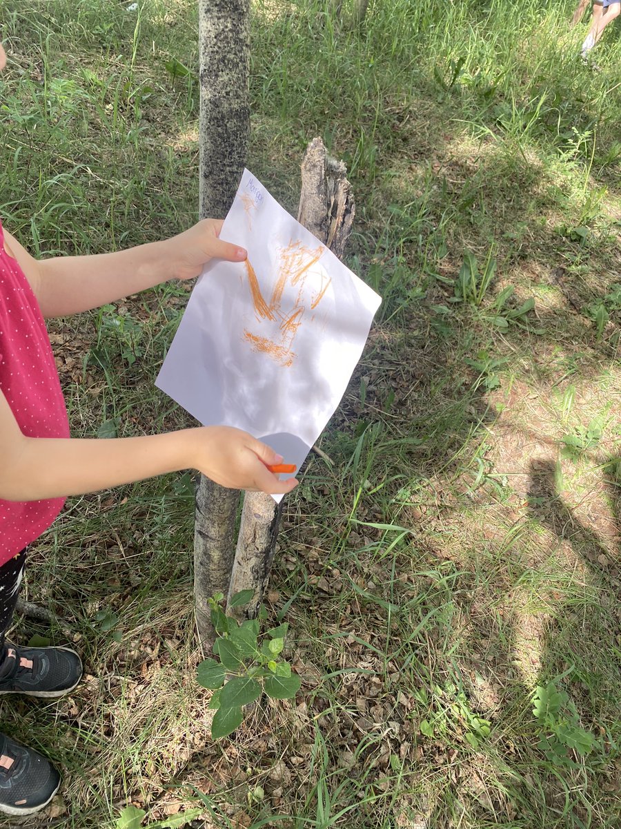 Collecting textures in the forest #rvsed #Kindergarten