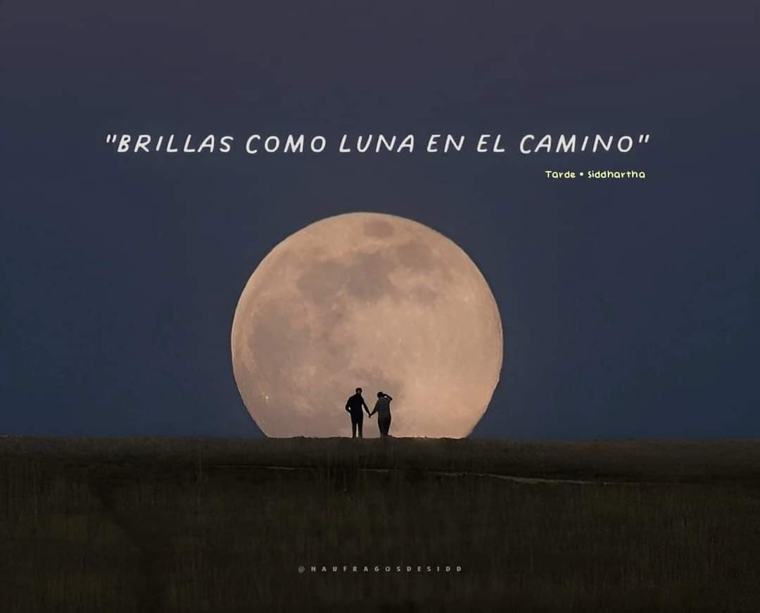 Daniela_DelRazo's tweet photo. 🌚✨ https://t.co/7VxYIp04Pf